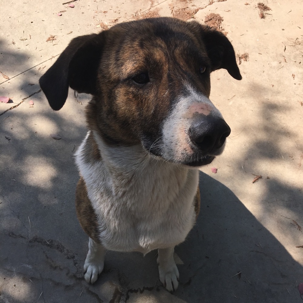 Meet your Posher, Michaella